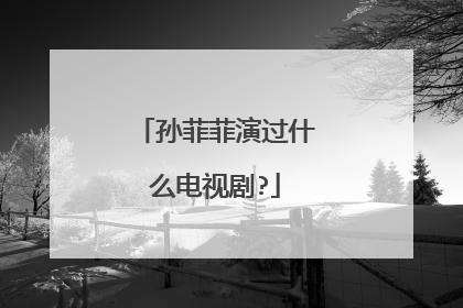 孙菲菲演过什么电视剧?