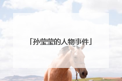 孙莹莹的人物事件