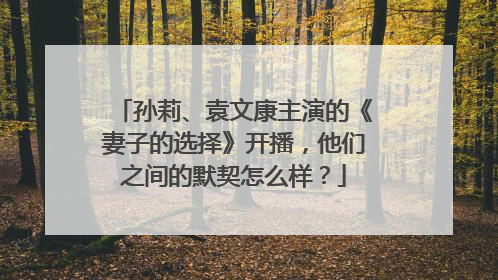 孙莉、袁文康主演的《妻子的选择》开播,他们之间的默契怎么样?