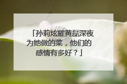 孙莉炫耀黄磊深夜为她做的菜，他们的感情有多好？