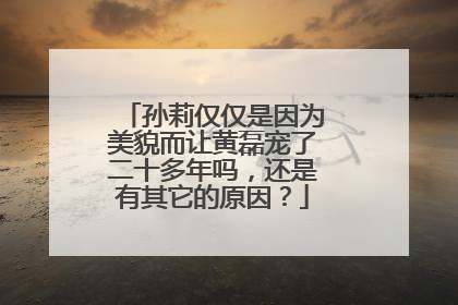 孙莉仅仅是因为美貌而让黄磊宠了二十多年吗,还是有其它的原因?