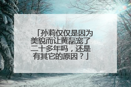 孙莉仅仅是因为美貌而让黄磊宠了二十多年吗,还是有其它的原因?