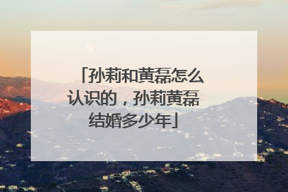孙莉和黄磊怎么认识的，孙莉黄磊结婚多少年