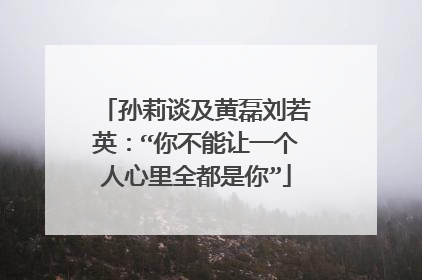 孙莉谈及黄磊刘若英:“你不能让一个人心里全都是你”