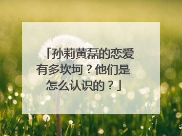 孙莉黄磊的恋爱有多坎坷？他们是怎么认识的？