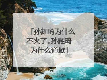 孙耀琦为什么不火了,孙耀琦为什么道歉