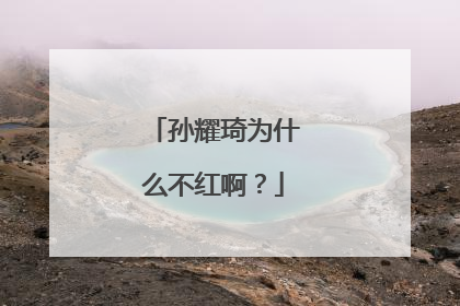 孙耀琦为什么不红啊?