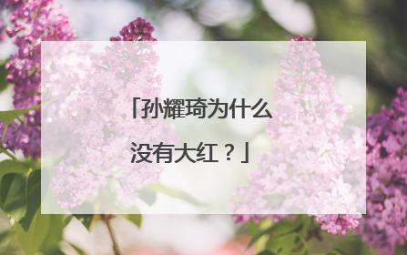 孙耀琦为什么没有大红？