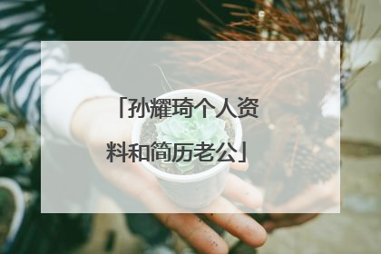 孙耀琦个人资料和简历老公