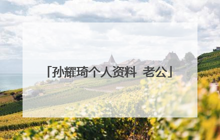 孙耀琦个人资料 老公