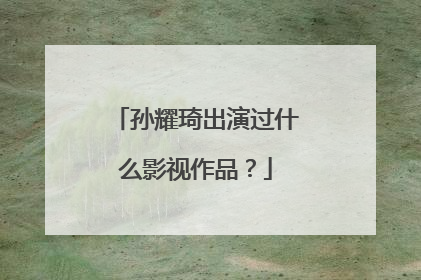 孙耀琦出演过什么影视作品?