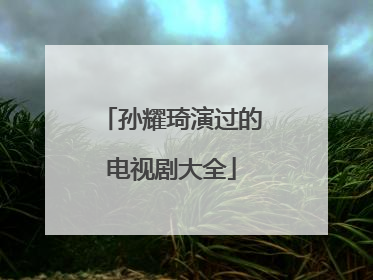 孙耀琦演过的电视剧大全