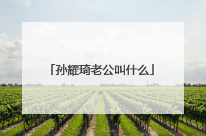 孙耀琦老公叫什么