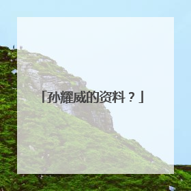 孙耀威的资料？