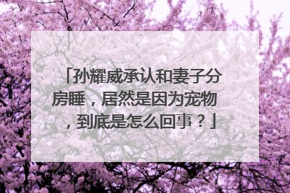 孙耀威承认和妻子分房睡，居然是因为宠物，到底是怎么回事？