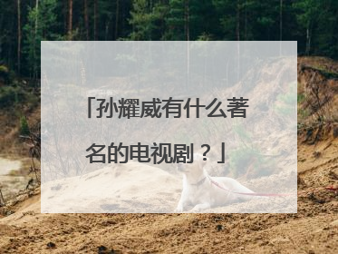 孙耀威有什么著名的电视剧？