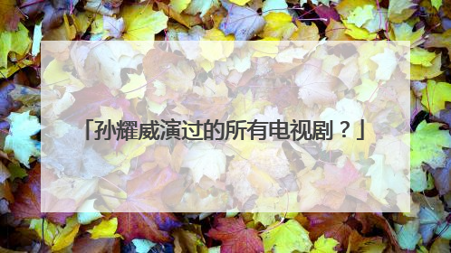 孙耀威演过的所有电视剧?