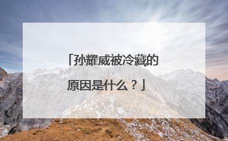 孙耀威被冷藏的原因是什么?