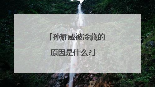 孙耀威被冷藏的原因是什么?