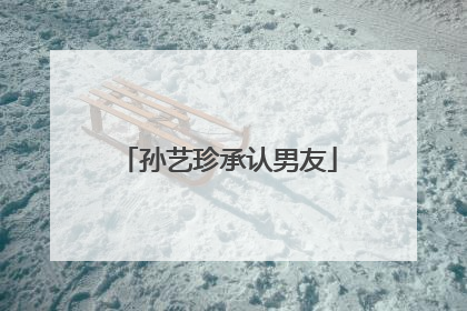 孙艺珍承认男友