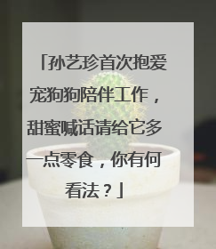 孙艺珍首次抱爱宠狗狗陪伴工作，甜蜜喊话请给它多一点零食，你有何看法？
