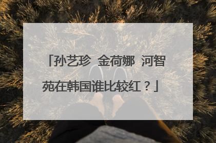 孙艺珍 金荷娜 河智苑在韩国谁比较红？