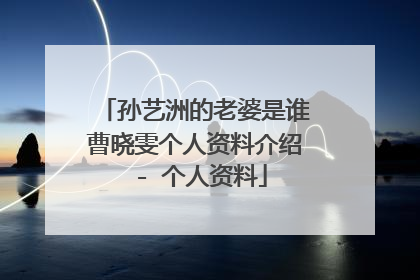 孙艺洲的老婆是谁曹晓雯个人资料介绍 - 个人资料