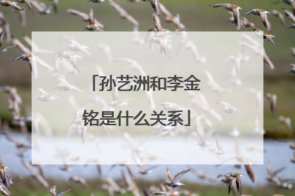 孙艺洲和李金铭是什么关系