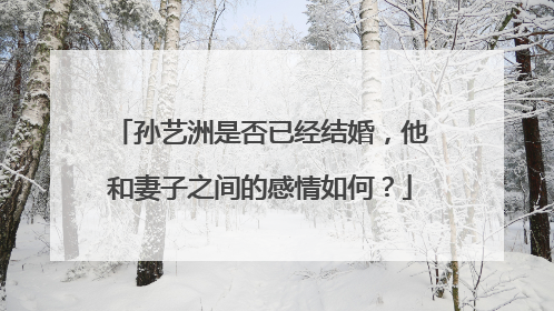 孙艺洲是否已经结婚,他和妻子之间的感情如何?
