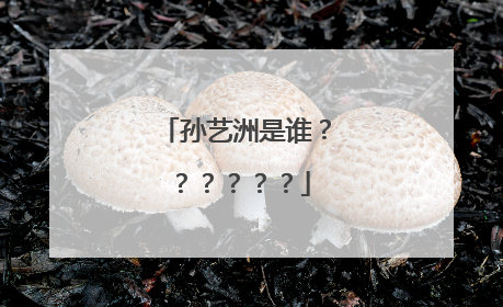 孙艺洲是谁??????