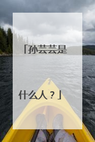 孙芸芸是什么人？