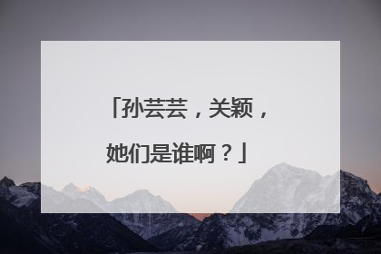 孙芸芸,关颖,她们是谁啊?