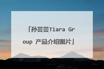 孙芸芸Tiara Group 产品介绍图片