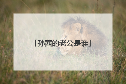 孙茜的老公是谁