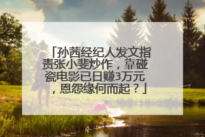 孙茜经纪人发文指责张小斐炒作，靠碰瓷电影已日赚3万元，恩怨缘何而起？