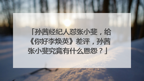 孙茜经纪人怼张小斐，给《你好李焕英》差评，孙茜张小斐究竟有什么恩怨？
