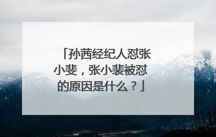 孙茜经纪人怼张小斐,张小裴被怼的原因是什么?