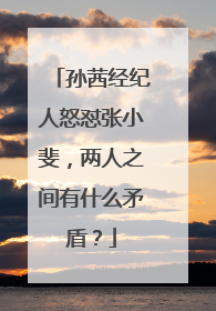 孙茜经纪人怒怼张小斐,两人之间有什么矛盾?