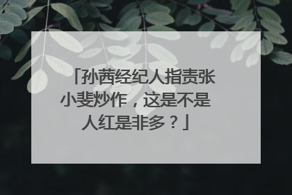 孙茜经纪人指责张小斐炒作,这是不是人红是非多?
