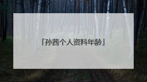 孙茜个人资料年龄