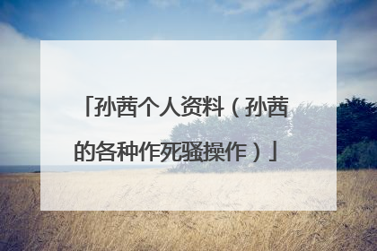 孙茜个人资料(孙茜的各种作死骚操作)