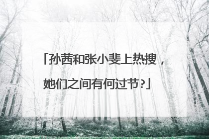 孙茜和张小斐上热搜，她们之间有何过节?