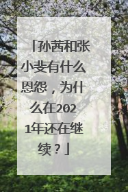 孙茜和张小斐有什么恩怨，为什么在2021年还在继续？
