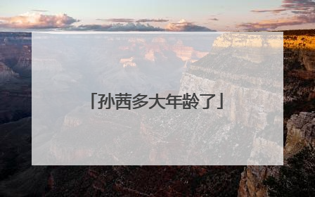 孙茜多大年龄了