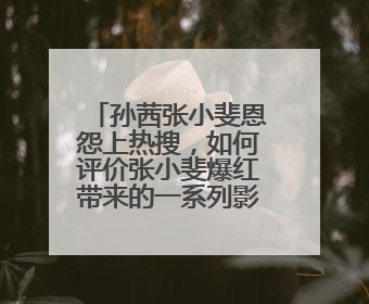 孙茜张小斐恩怨上热搜,如何评价张小斐爆红带来的一系列影响?