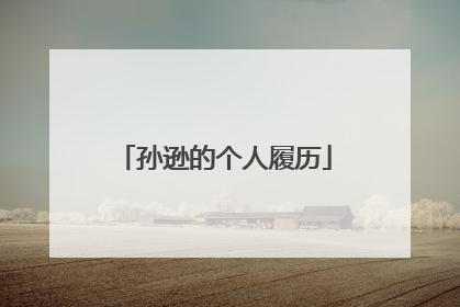 孙逊的个人履历