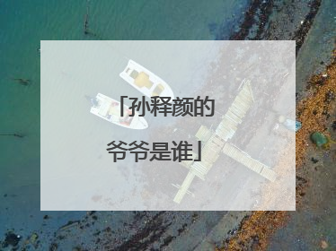 孙释颜的爷爷是谁