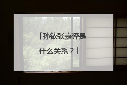 孙铱张嘉译是什么关系?