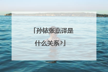 孙铱张嘉译是什么关系?