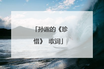 孙露的《珍惜》 歌词